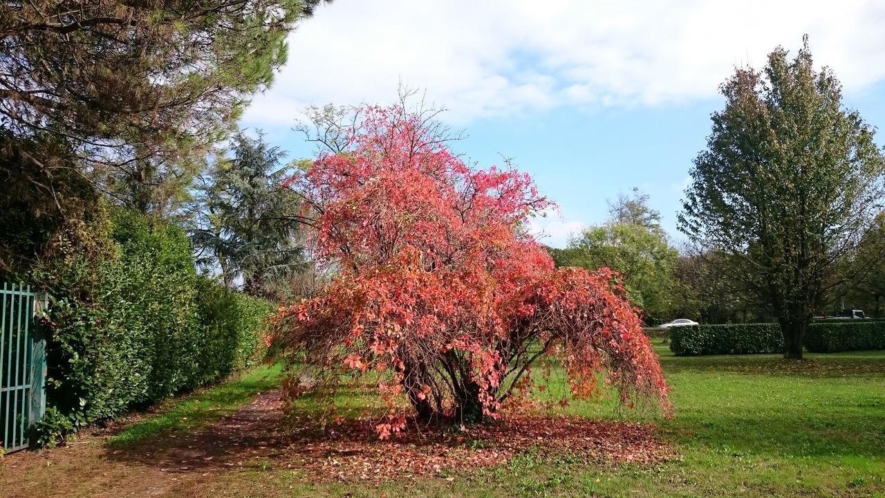 B&B La Casa Nel Parco Sesto San Giovanni Dış mekan fotoğraf
